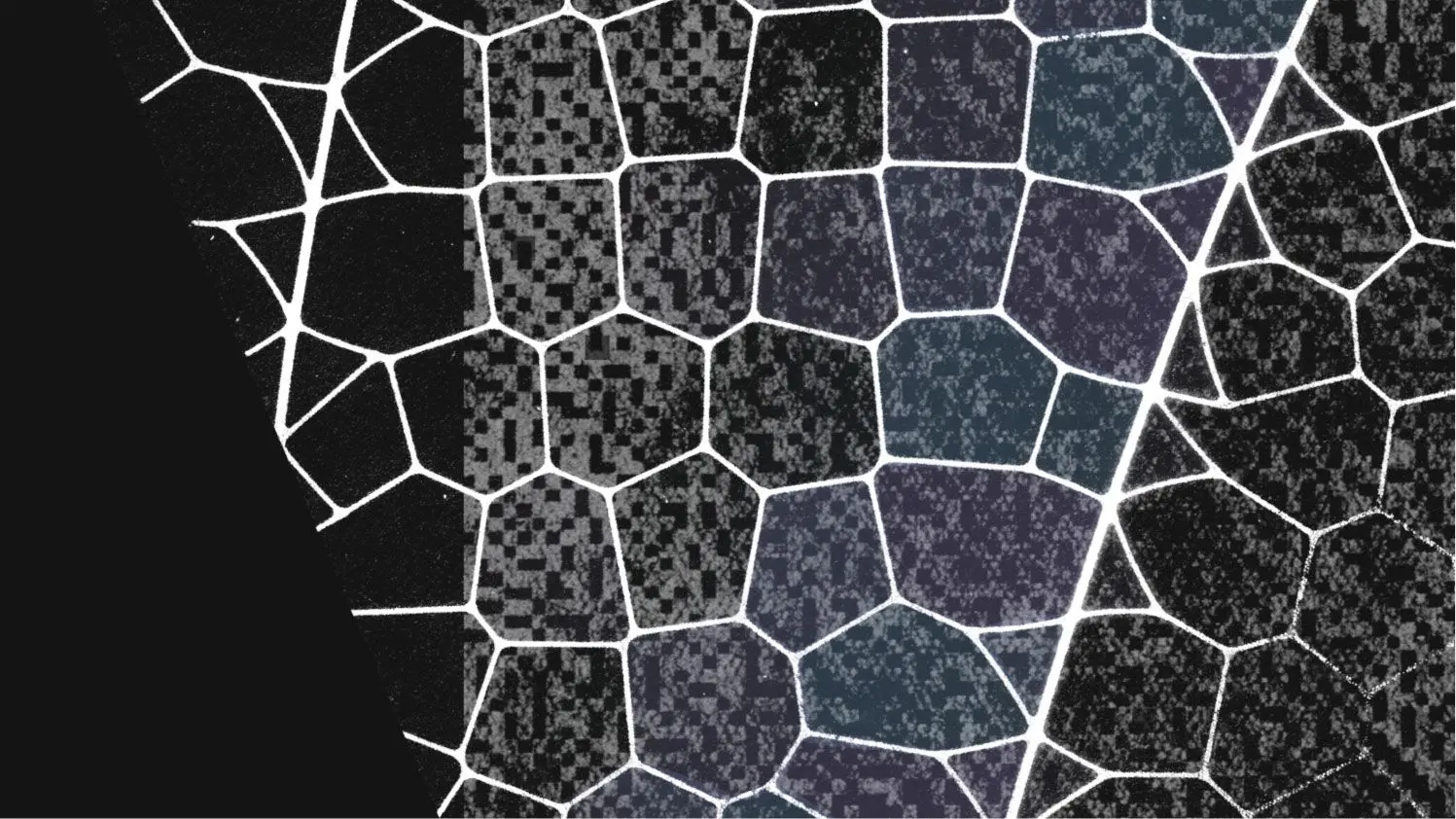 مشروع Glasswing: أنثروبيك تجمع 12 شركة عالمية لاستخدام الذكاء الاصطناعي في تأمين الإنترنت